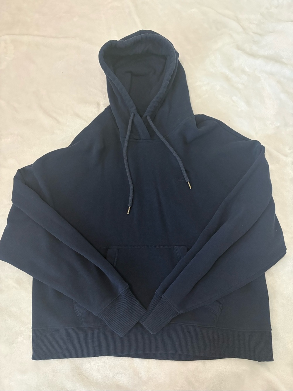 Large Hollister Navy Hoodie